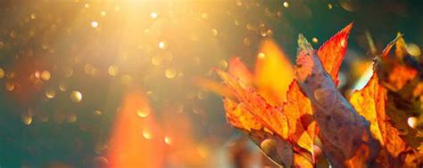 描写秋天的诗句有哪些,秋天的古诗大全300首,秋天的古诗10首简单_大山谷图库