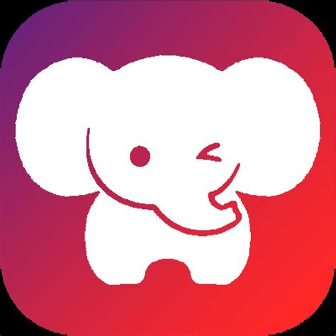 大象餐饮品牌VI视觉设计[15P]