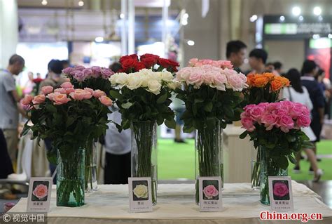 上海发布推进花卉产业高质量发展服务高品质生活意见，花木产业将成城市新名片 - 知乎