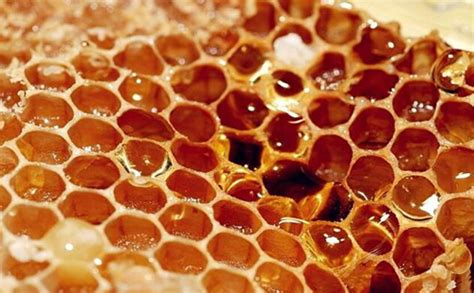 2022年蜂蜜行业发展现状分析_报告大厅