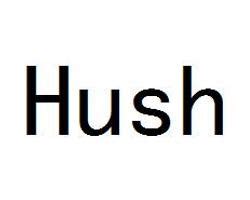 Hush（中国乐团） - 搜狗百科