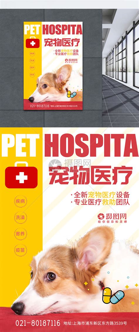简约宠物医院医疗海报模板素材-正版图片401350452-摄图网