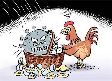 h7n7禽流感最新消息（H7N7禽流感）_公会界