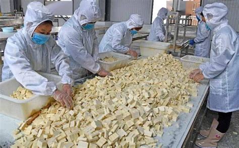 植根于美国农村的华人豆腐厂