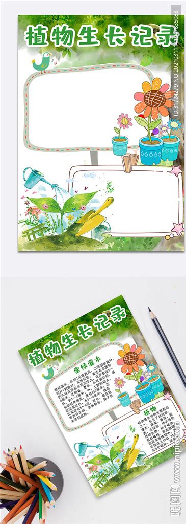 小学三年级植物记录卡,绿萝-Word模板下载_编号qozwnwzb_熊猫办公
