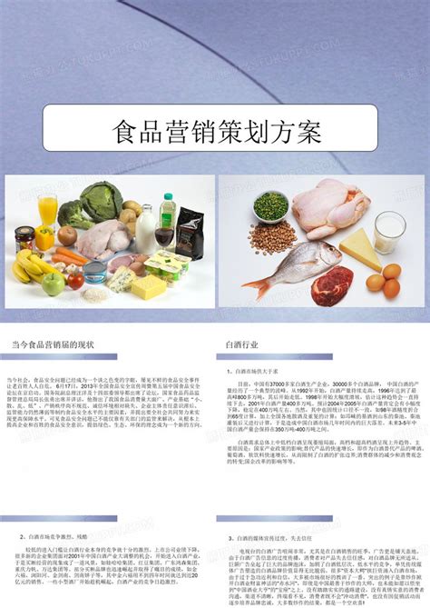食品营销策划方案PPT模板下载_编号ljnbgzjy_熊猫办公