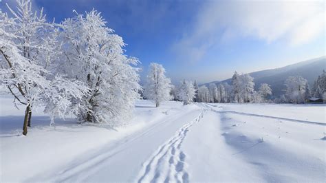 解锁最美冬季赏雪地 冰雪世界美若童话-天气图集-中国天气网