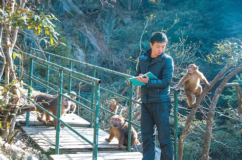 黄山野生猴高清图片下载_红动中国
