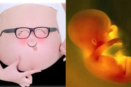 【胎儿在肚子里的姿势】【图】胎儿在肚子里的姿势 解读胎儿在肚子里的8种姿势_伊秀亲子|yxlady.com