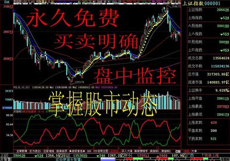 中国股市：【 教你炒股票，新手入门必读！ 】 - 知乎