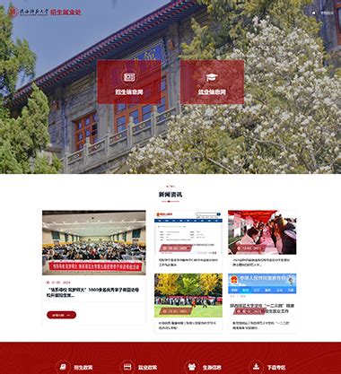 西安网站建设博达网站群网站建设制作17年设计经验,具备高水准的西安网络公司.029-88455393
