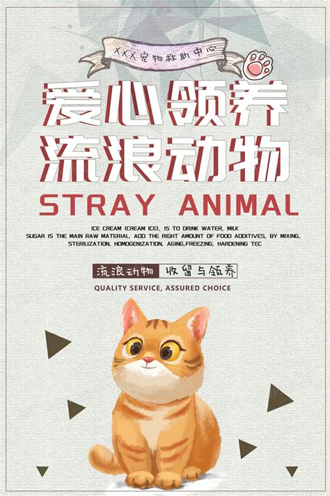 创意关爱救助流浪动物领养流浪猫公益海报设计图片下载_psd格式素材_熊猫办公