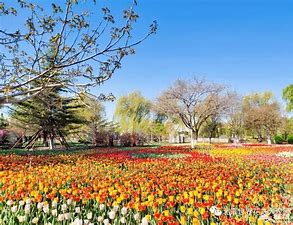 北京世界花卉大观园 的图像结果