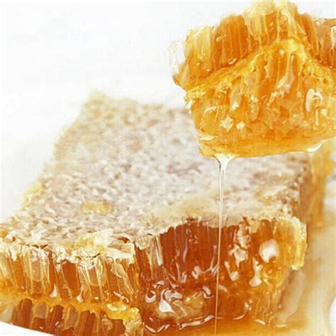 黑蜂蜂蜜的作用与功效及食用方法 - 蜂蜜种类 - 酷蜜蜂