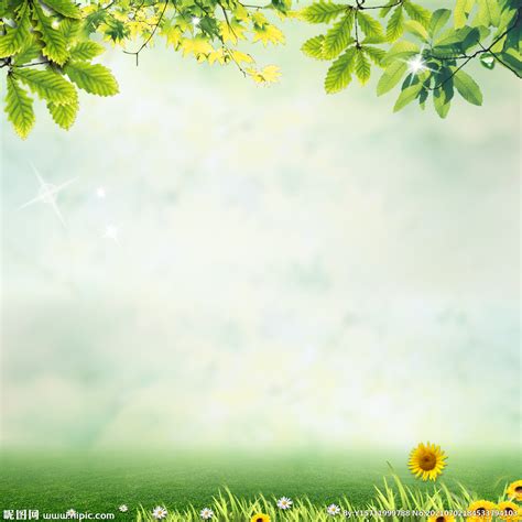 春天绿色背景背景图片素材免费下载_熊猫办公