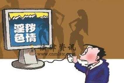 南山警方打掉一网络传播淫秽物品犯罪团伙，刑拘5人_深圳新闻网