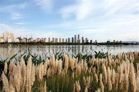 2023汉江湿地公园游玩攻略,景区很大，景色很美，距汉中... 【去哪儿攻略】