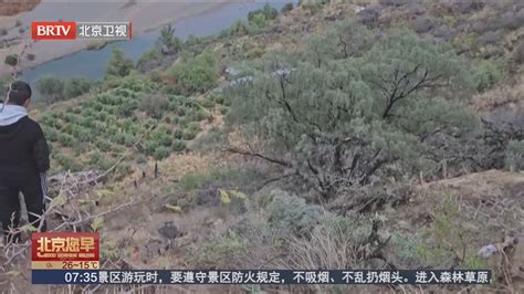 秘鲁一客车坠入峡谷 致数十人死伤_北京时间