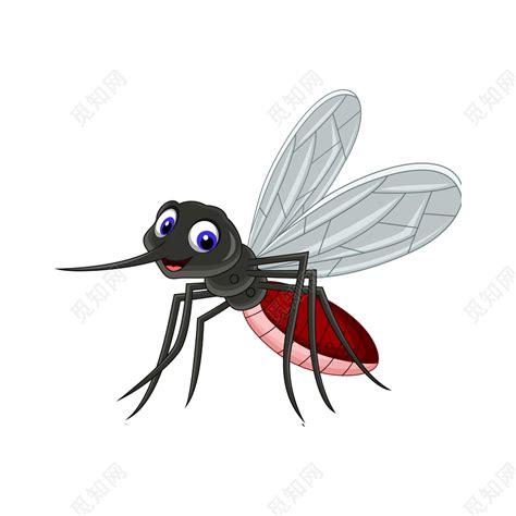 矢量卡通蚊子设计素材免费下载 - 觅知网