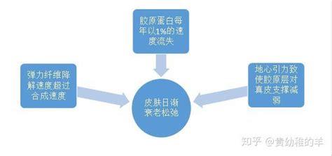 中国传统文化中的五服制度