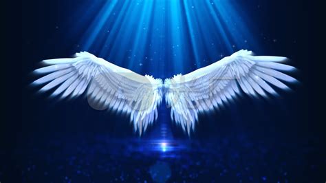 天使的单翼翅膀图片免费下载_PNG素材_编号z62i8x534_图精灵