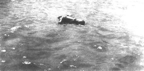漂在海河中的浮尸-天津人民抗日斗争-图片