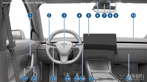 特斯拉model3解锁车门乘客怎么开门上车？-有驾