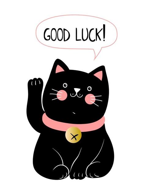 为什么黑猫会带来好运？ - 知乎