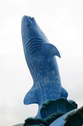 鲸鱼雕塑高清图片下载_红动网