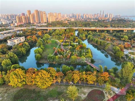 湖北襄阳：湿地公园秋景如画-人民图片网