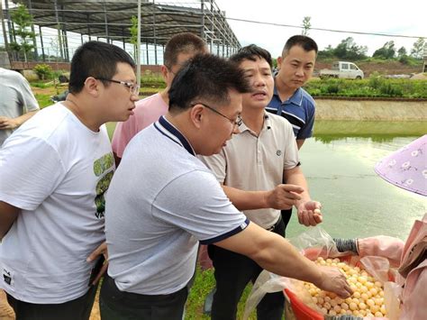 江西发布全国首个省级农业农村数字经济发展白皮书凤凰网江西_凤凰网