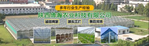 为什么这些年的设施农业都喜欢用温室大棚！_公司新闻_寿光市九合农业发展有限公司