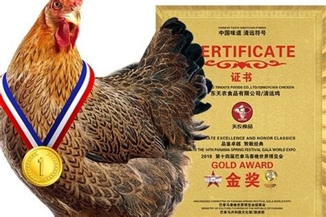 2019年清远鸡美食旅游文化节攻略之品牌篇 - 麻鸡村
