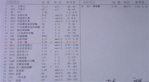 血脂检查单,血糖化验单,血常规检查单(第4页)_大山谷图库