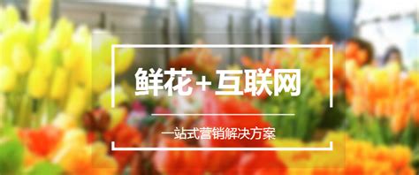 2017年 中国鲜花电商行业案例研究-数字营销-数据报告-京东万象