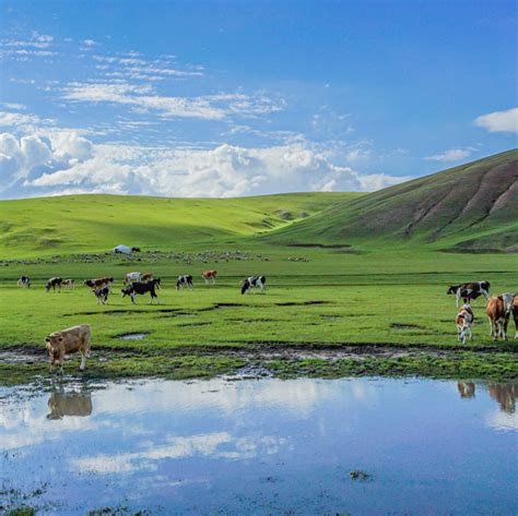 内蒙古景点排行榜前十名，内蒙古十大危险的景点 - 旅游优选号
