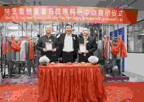西藏林芝工厂转产低价处理锯末木炭机4.2万元现货_干燥机_废塑料加工设备_供应_易再生网