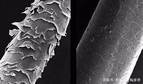 1根头发有6万纳米那么粗！看看显微摄影下的纳米结构 - 知乎