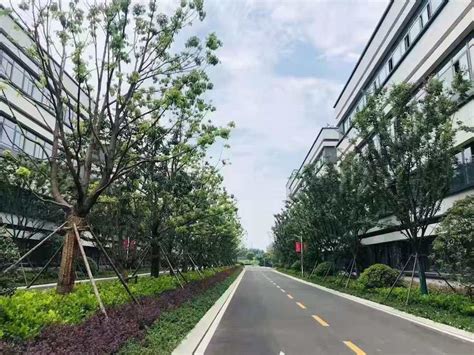 上海金陵松江现代产业服务园规划方案设计-办公建筑-筑龙建筑设计论坛