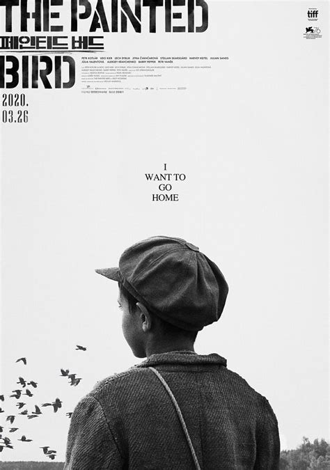 被涂污的鸟 韩国版海报
