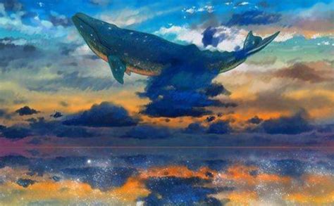 化身孤岛的鲸高清图片,化身岛的鲸壁纸,化身岛的鲸_大山谷图库