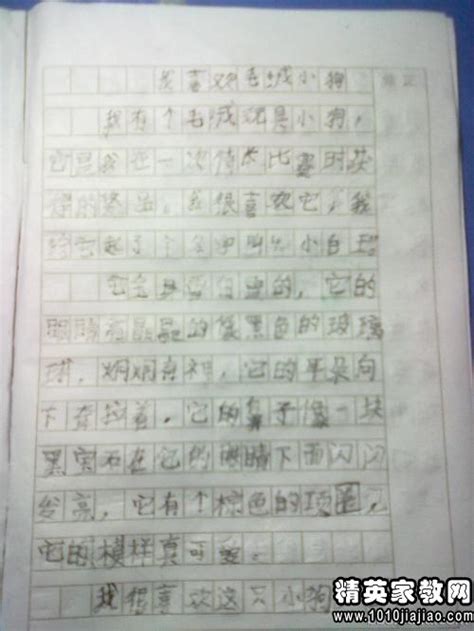日记400字做家务折纸(日记400字 折纸) | 抖兔教育
