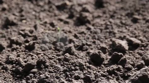 论酸性土壤的危害之一 重金属污染 - 作物种植技术 - 安徽省国壬农业科技有限公司