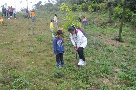 播种绿色理想林——2019年理想林维护活动 - 公益纪实 - 珠海市理想大家庭慈善协会