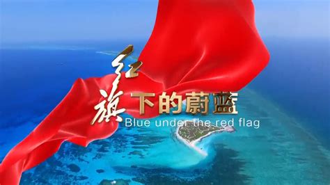 《寻访三沙绿海龟》-第三届海南省南海文艺奖广播电视类获奖作品