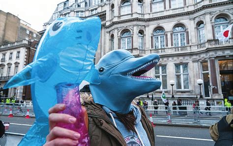 英国民众在日本使馆外抗议屠杀海豚 - 海洋财富网