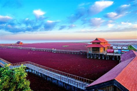 盘锦红海滩最佳观赏时间 盘锦红海滩风景区旅游攻略 - 知乎
