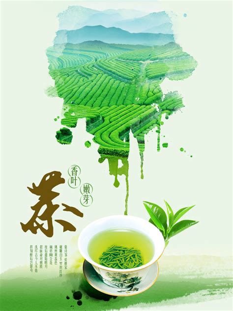 绿茶广告海报设计PSD设计模板素材