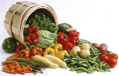 有机蔬菜和水果高清图片下载-正版图片503842866-摄图网