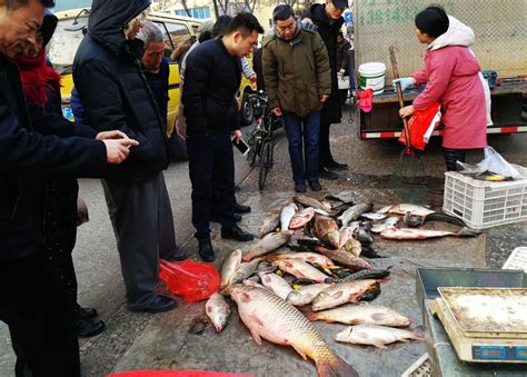 街边商贩售卖的鱼高清图片下载_红动中国